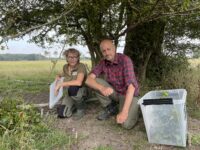 Miljøministeren og ZOO udsætter truede danske strandtudser på Lolland